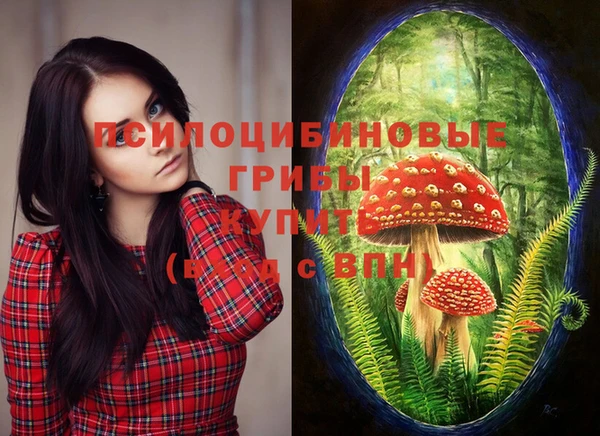 синтетический гашиш Верея