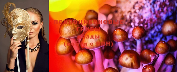 сатива Верхний Тагил